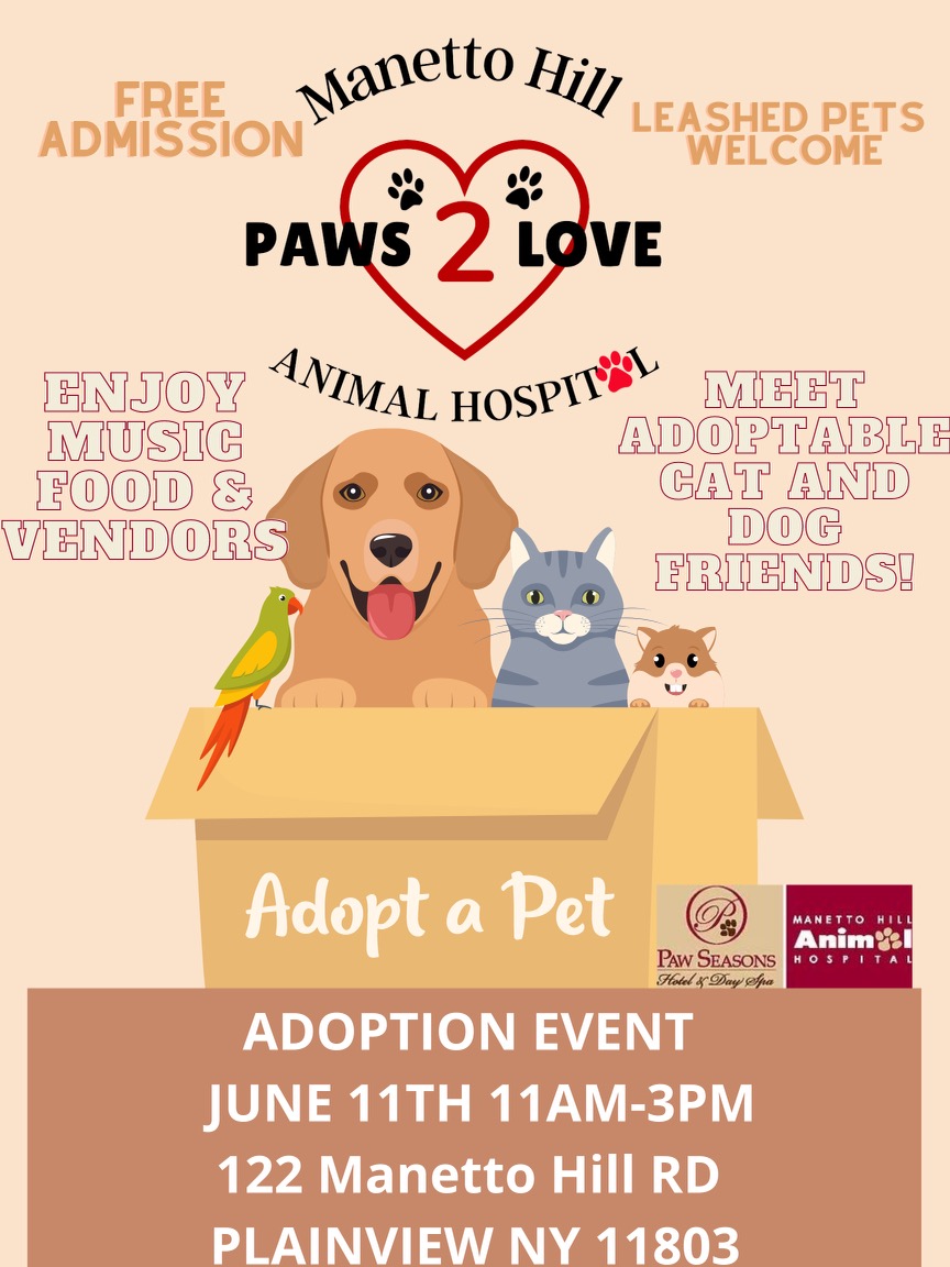 Beige Simple Pet Adoption Poster - 1